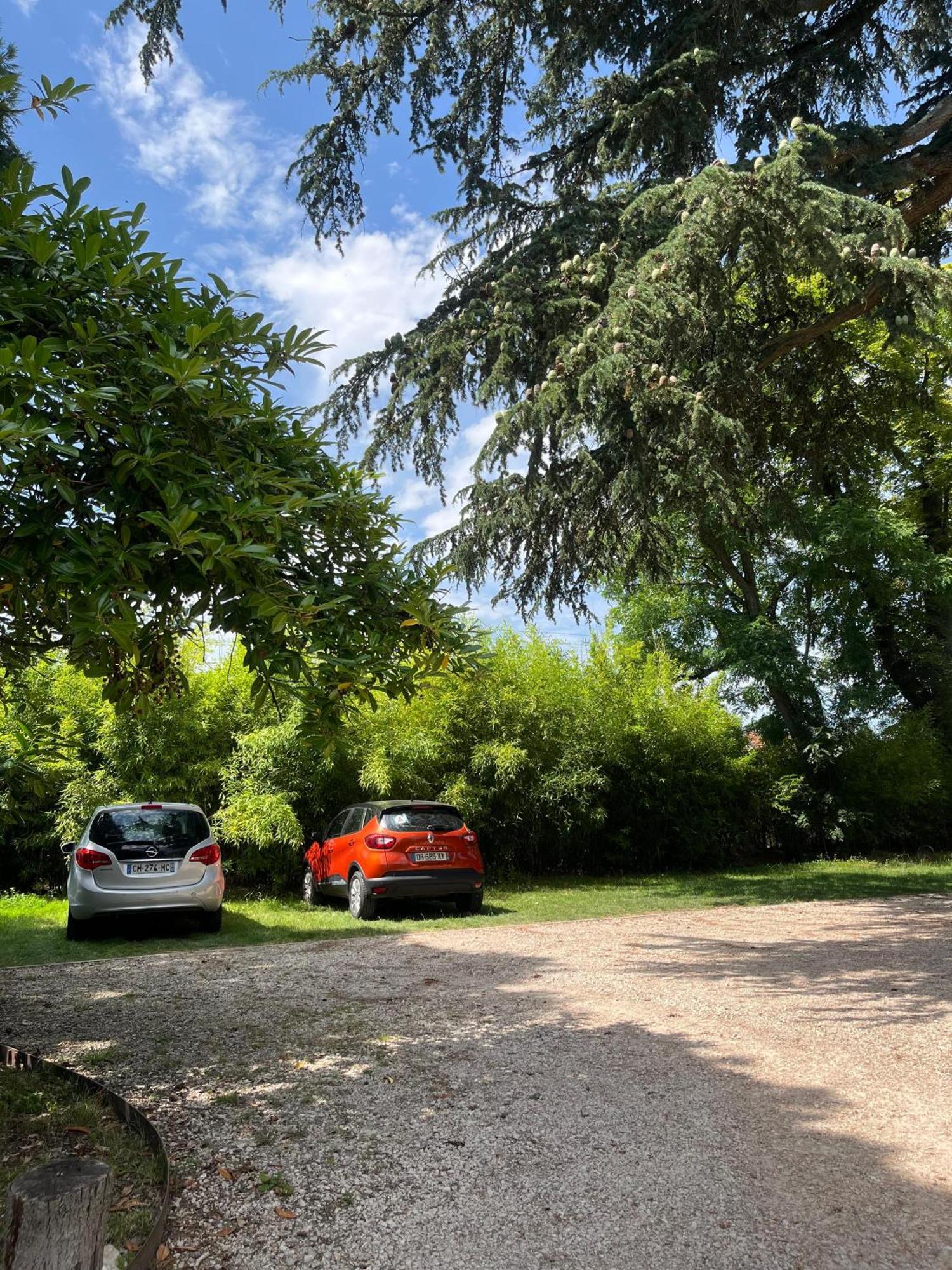 Le Clos Du Cedre Frühstückspension Saint-Ouen (Loir-et-Cher)