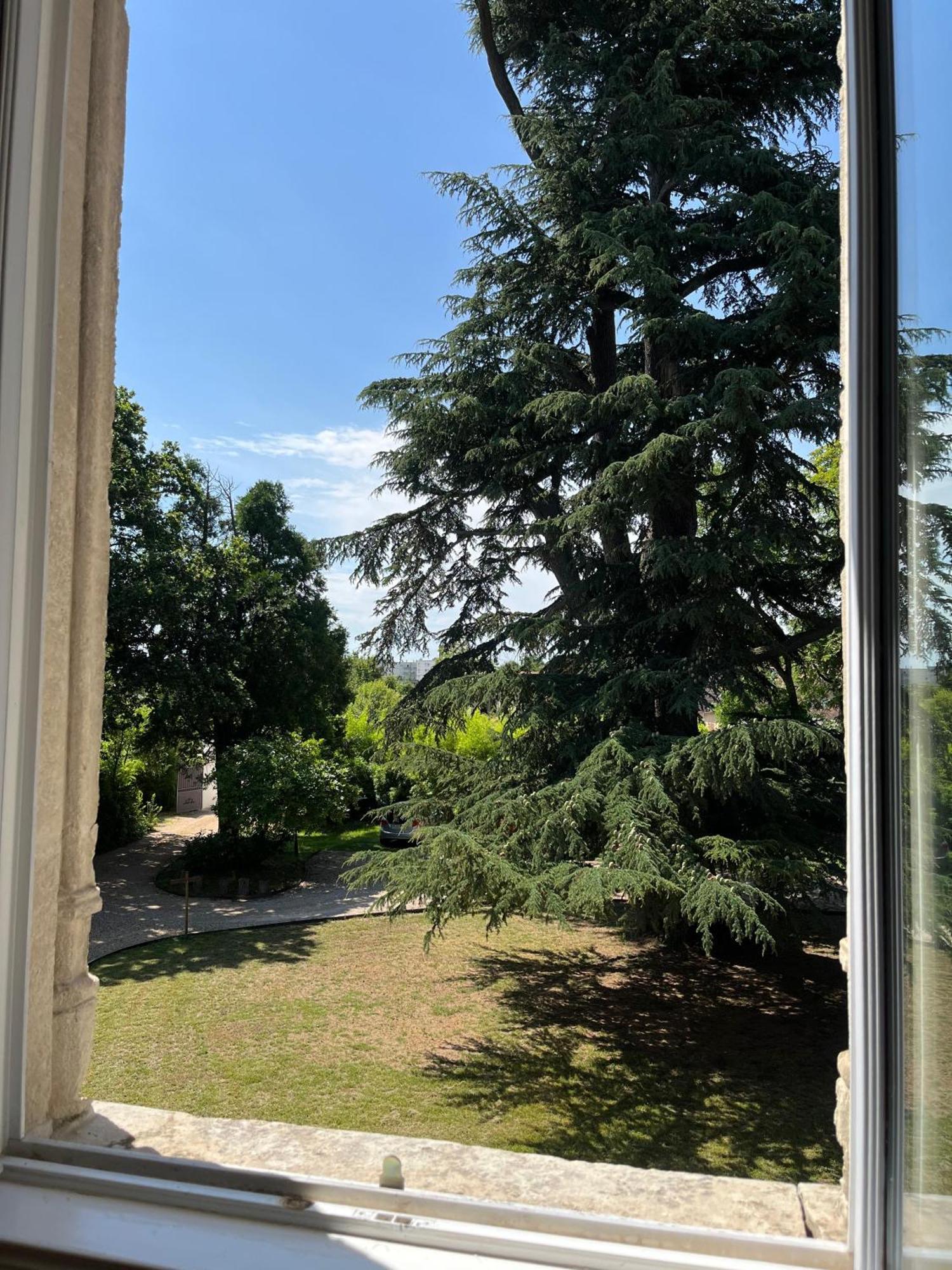 Le Clos Du Cedre Saint-Ouen (Loir-et-Cher)