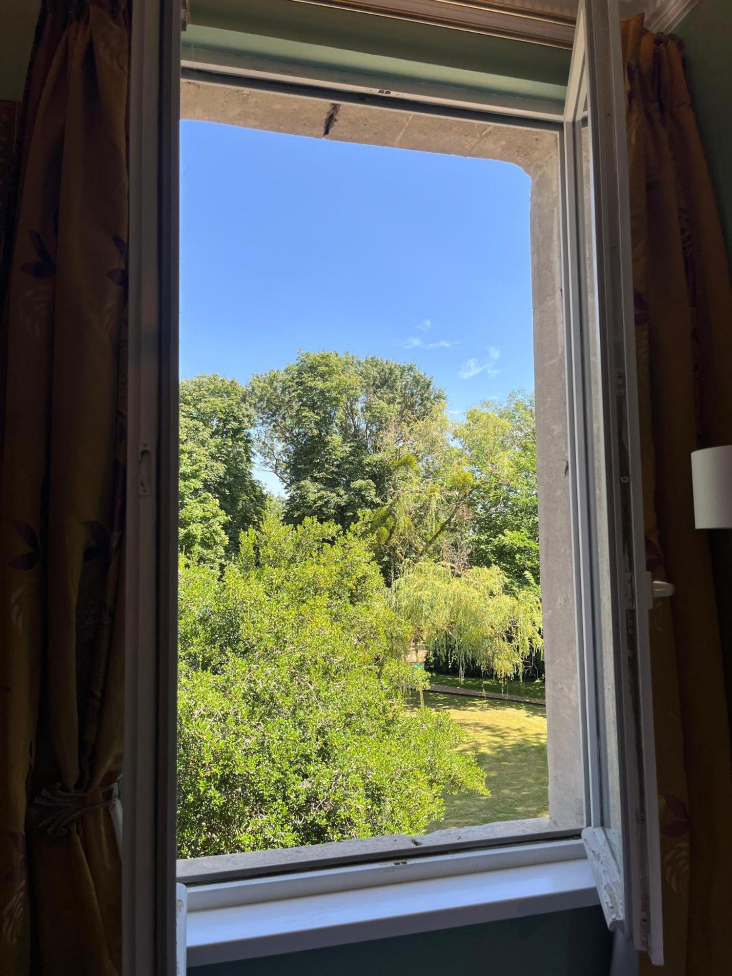 Le Clos Du Cedre * Saint-Ouen (Loir-et-Cher)